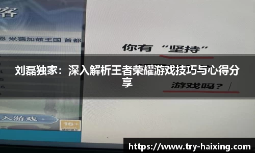 刘磊独家：深入解析王者荣耀游戏技巧与心得分享