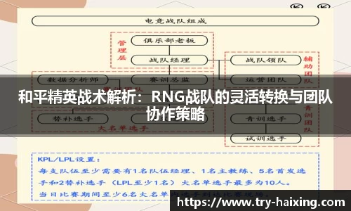 和平精英战术解析：RNG战队的灵活转换与团队协作策略